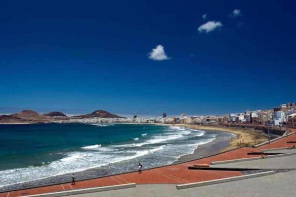 Canteras Beach 40 大加那利岛拉斯帕尔马斯 外观 照片